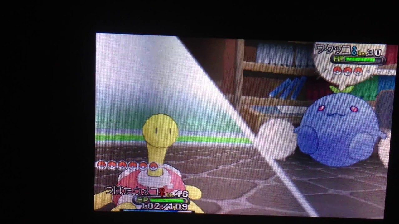 ポケモンxy ツボツボだけで殿堂入りを目指すpart4 Vsフクジ Youtube