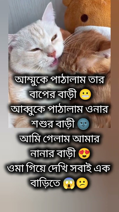 সবাই দেখি এক বাড়িতে🤣🐸#vairalvideo #vairalshort #trending #views #funny #foryou #cat