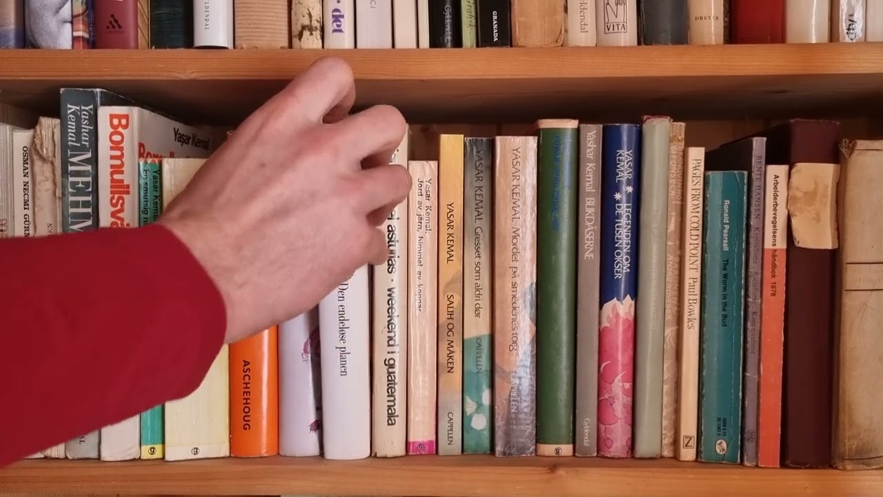 Sound Action 059 - Book Shelf