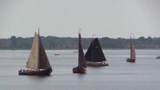 40 Botters Op Het Wolderwijd Harderwijk 2016