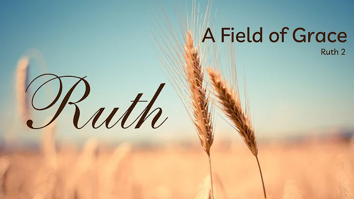 8/21/2022- A Field of Grace - Ruth 2 - Living Spri...