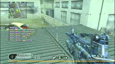 Call Of Duty 4 Infectable Mod-Menu Lobby in Private Match