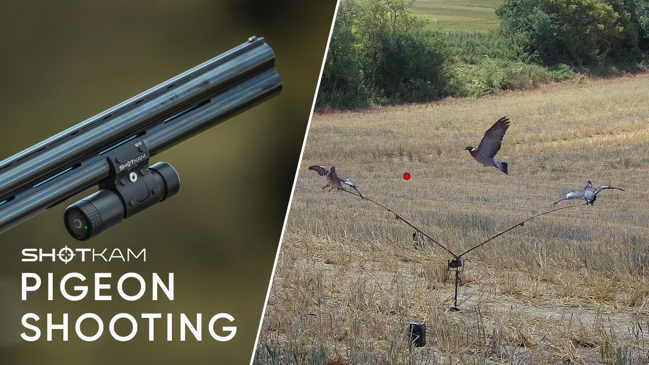 ShotKam Gen 4 Pigeon Shooting Highlights