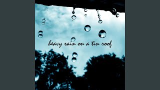 Heavy Rain on a Tin Roof, Pt. 06