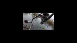 24 March 2026 #carp #carpfish #carpfishing #anglingadventure
