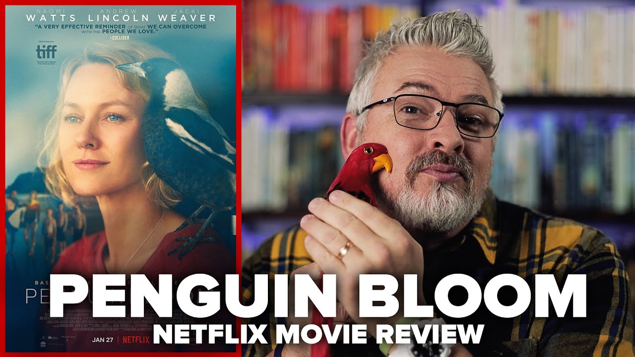 Penguin Bloom (2021) Netflix Movie Review - YouTube