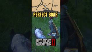RDR2: Perfect Boar Hunt | #rdr2 #reddeadredemption2 #gaming