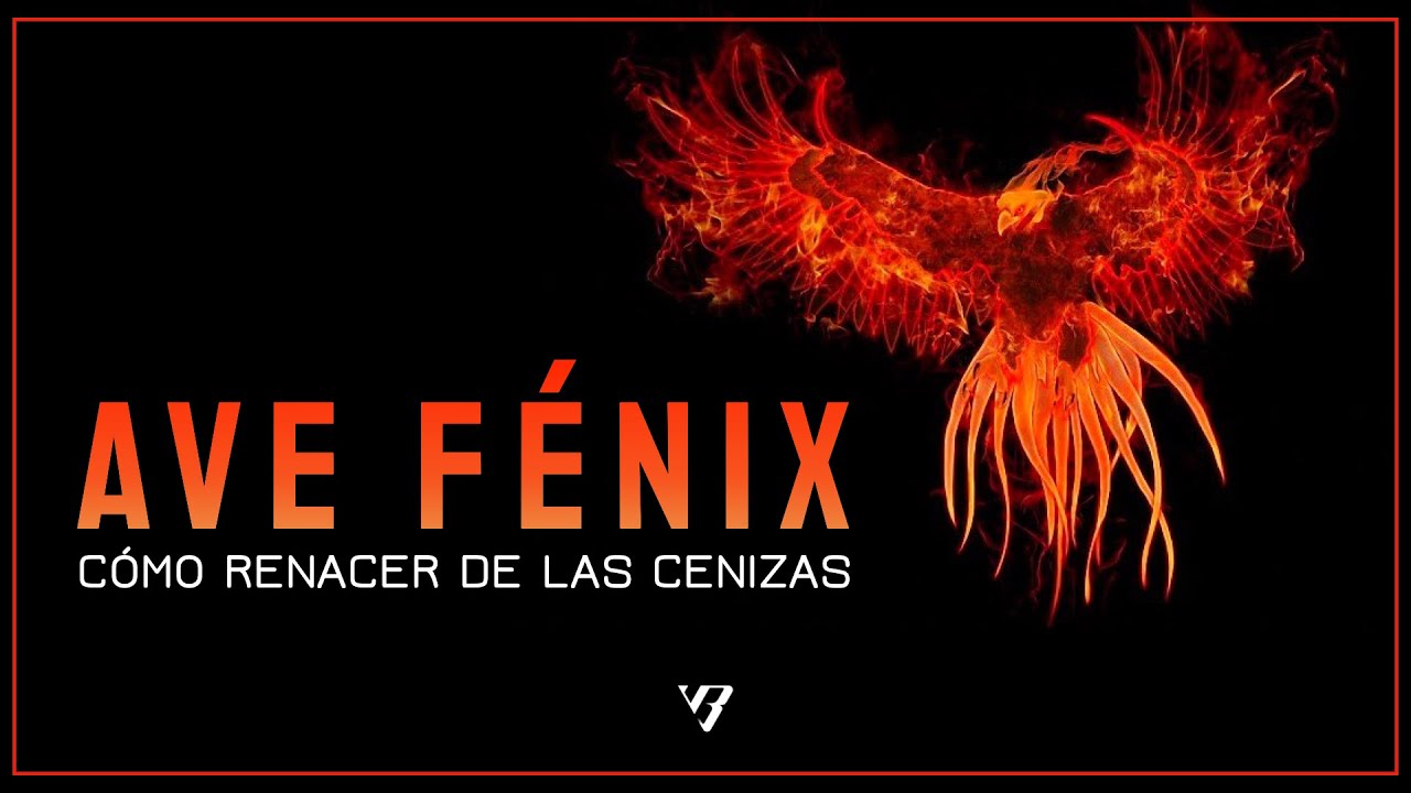 Ave Fénix, como renacer de las cenizas - YouTube