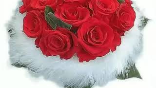 VID-20180820-WA0004.mp4