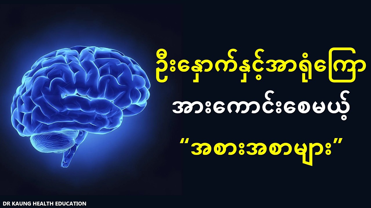 အာရုံကြောအားကောင်းစေမယ့် အစားအစာ (၁၃) မျိုး