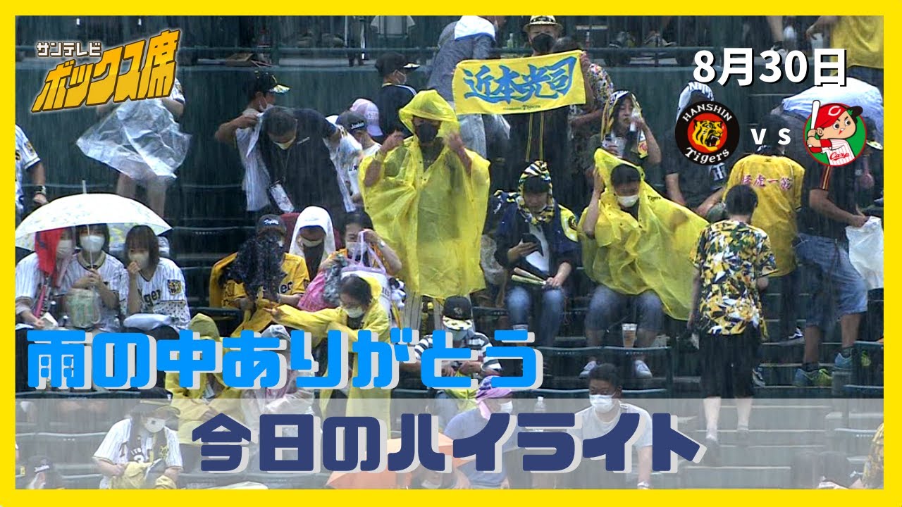 試合ハイライト 雨にもマケズ 大山ホームランで勝利 22年8月30日 プロ野球 阪神ー広島 サンテレビボックス席 Youtube