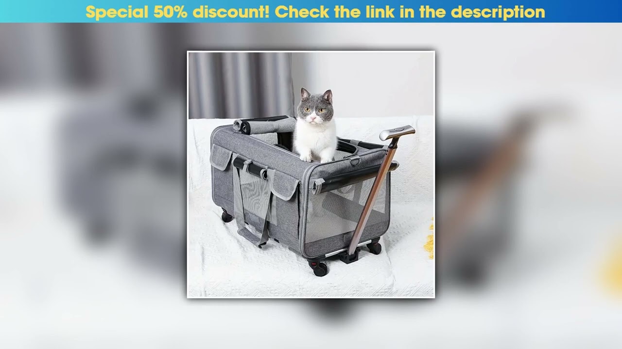 Best Seller Large Foldable Portable Pet Travel Carrier Bag for Dogs Cats Extra Size Detachable Trol