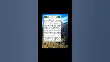 تلاوة آيات من سورة النبأ،إنهم كانوا لا يرجون حسابا ،القرآن الكريم