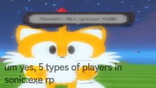 um yes, 5 types of players in sonic.exe rp