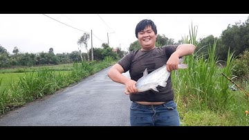 CÂU CÁ TRA SÔNG CÙNG VỚI THÔ ĐỊA TÂN PHƯỚC VÀ ĐIỂM CÂU MỚI