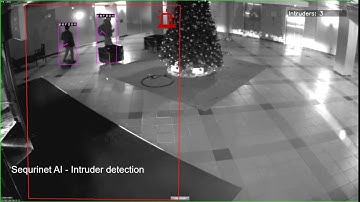 SeQurinet AI demo: Intruder detection