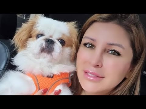Tiktokta canli yayın