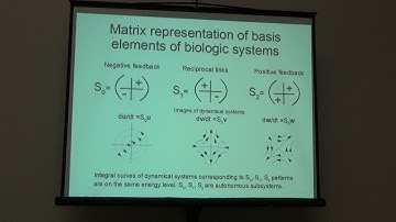 Garri Davydyan - Carcinogenesis and split-quaternions - JMM2018 Quaternion Session