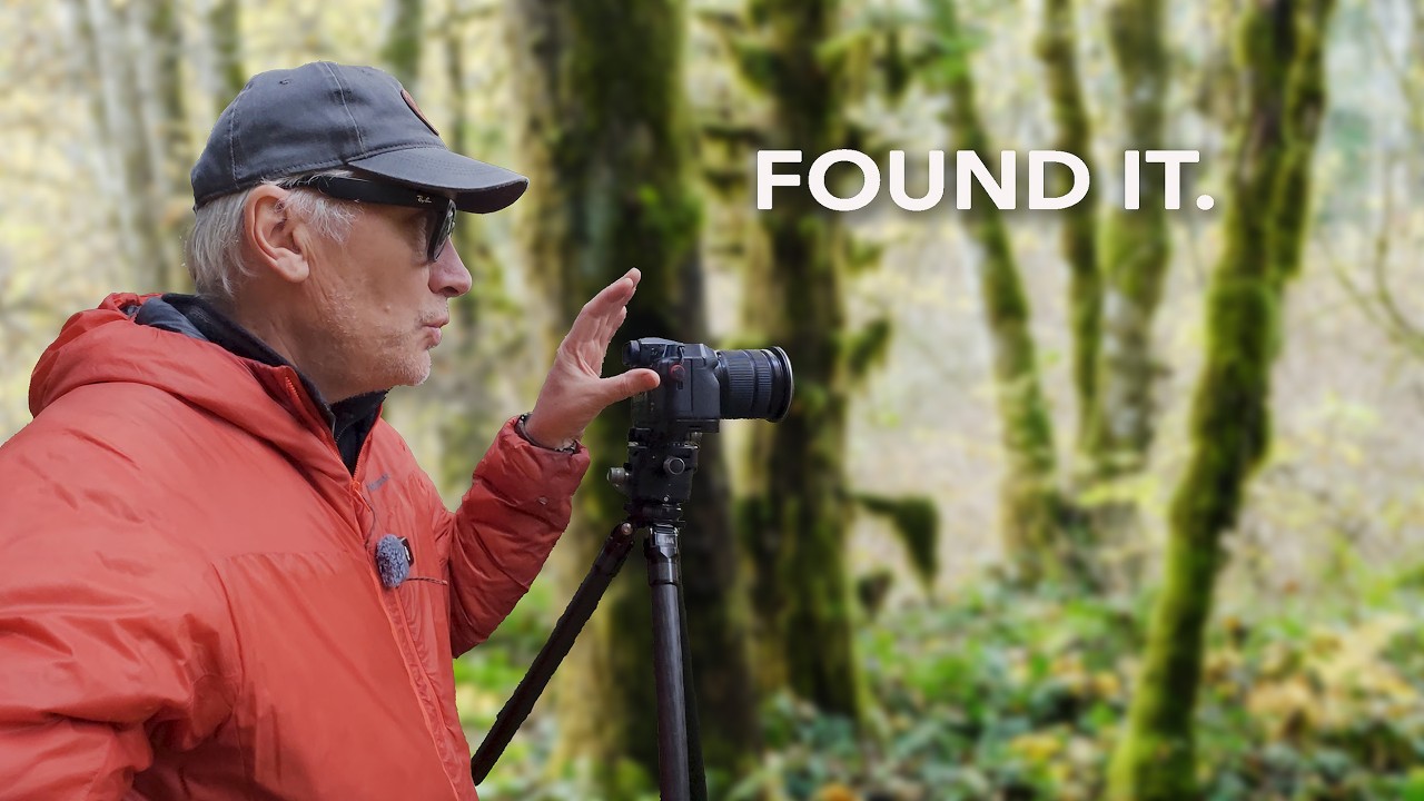 В погоне за последними красками осени на острове Ванкувер