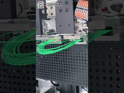 Automotive Wire Harness Smart Housing Insertion and Waterproof Plug Sealing Machine - Shorts