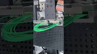 Automotive Wire Harness Smart Housing Insertion and Waterproof Plug Sealing Machine