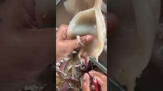 Steps for cleaning squid. #food #seafood #octopus #satisfying #fishing