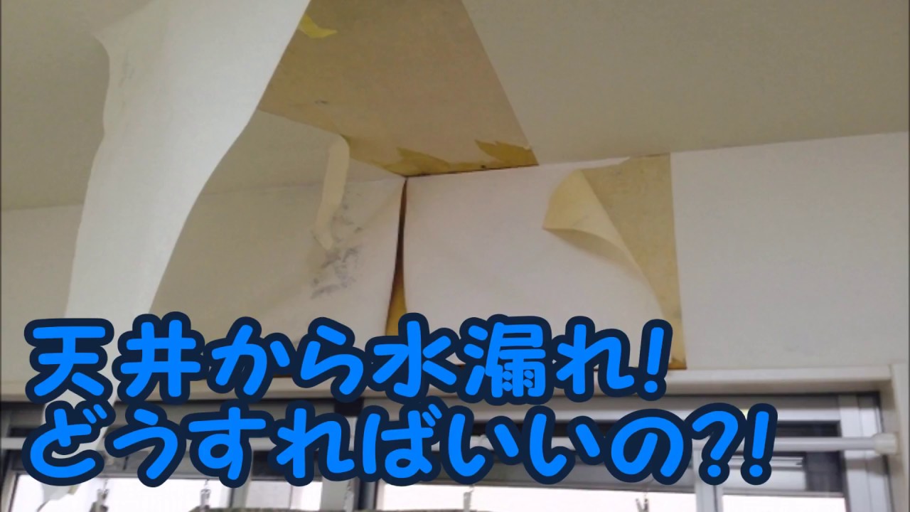 天井から水がポタポタ 賃貸物件で水漏れ被害に遭ったらどうすればいい Youtube