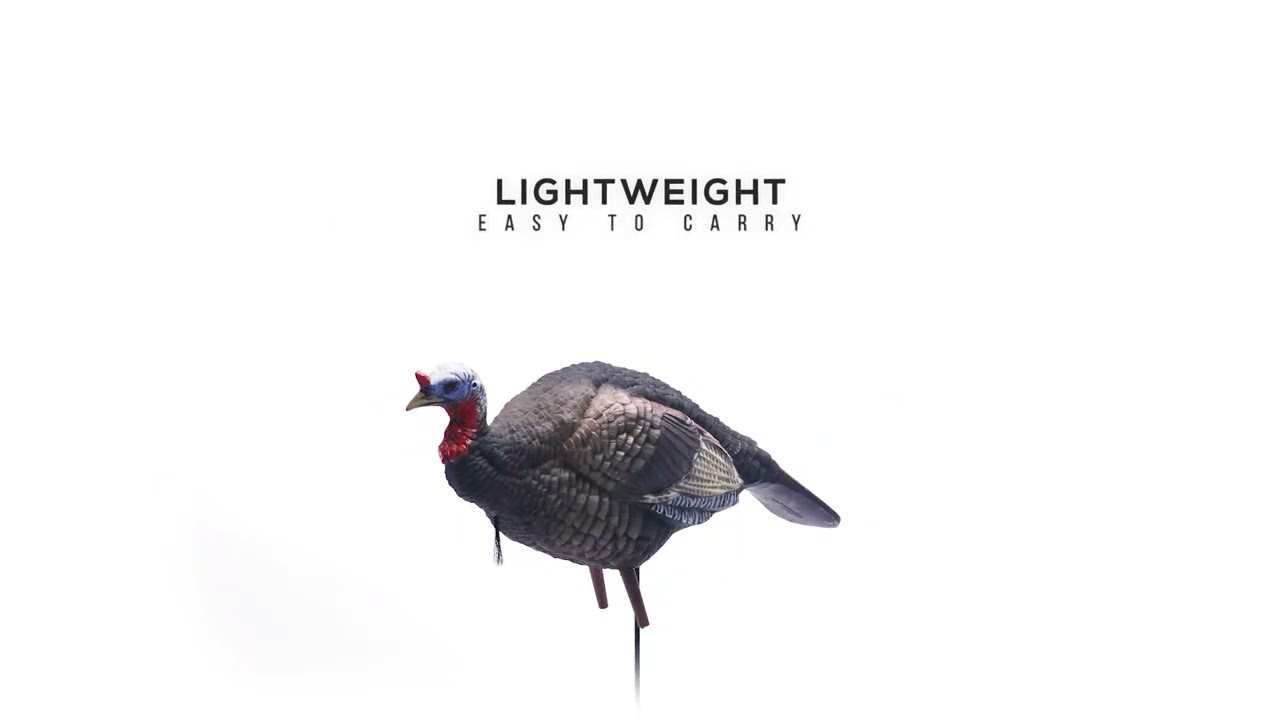 ドンキー Higdon Hard Body 1/4 Strut Jake Turkey Decoy – Higdon Outdoors
