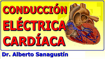 ¿Cuál es el sistema de conduccion cardiaca?