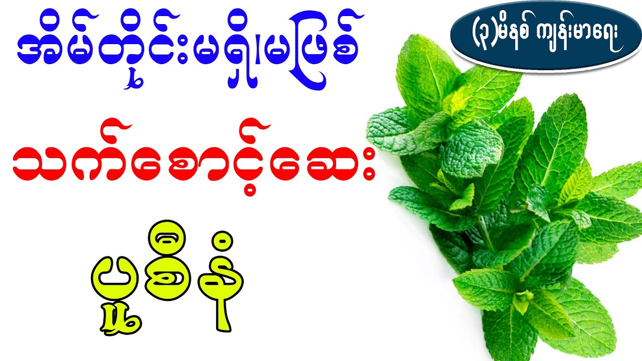 အိမ်တိုင်းမရှိ မဖြစ် သက်စောင့်ဆေး ပူစီနံ၊ health benefit of Spearmint