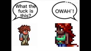 Zoologist being sussy wussy#meme #wtf #terraria #zoologist #sussy