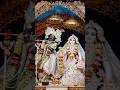 🌸 ISKCON मायापुर दर्शन | श्री श्री राधा माधव मंदिर 🌸#iskcon #iskconmayapur #iskcondarshan#shorts