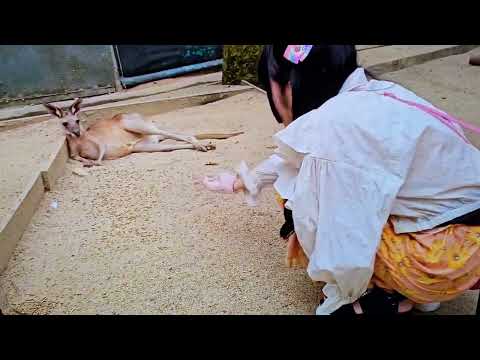 Putar Sekaiju ga mikata (Unruly BE LIVE Ver.) - Zero