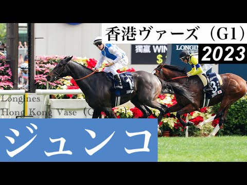 「道中後方追走から、撫で斬りましたジュンコ」【香港ヴァーズ2023】/ Junko【Longines Hong Kong Vase 2023】