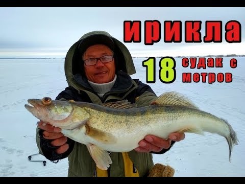 Ижевск судак на машине