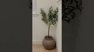 Decorating With Target