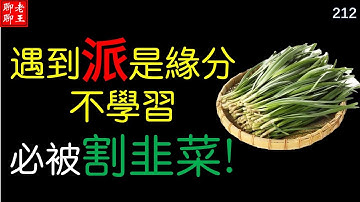 ( 之五 ) 雲南麗江大學楊教授對派Pi的看法!  遇到派是緣分, 不學習必被割韭菜!