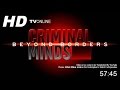 Criminal Minds: Beyond Borders Season 1 Episode 11 [The Ballad of Nick & Kat]