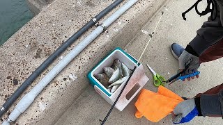 Vilano Pier Fishing, Catching SaltWater Pan Fish