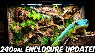 240 Gallon Bioactive Gecko Enclosure UPDATE!