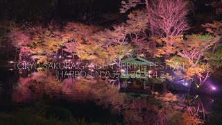 TOKYO SAKURA GARDEN SPRING FESTIVAL 2024 HAPPO-EN 八芳園2024.4.2/SONY ZV-E1