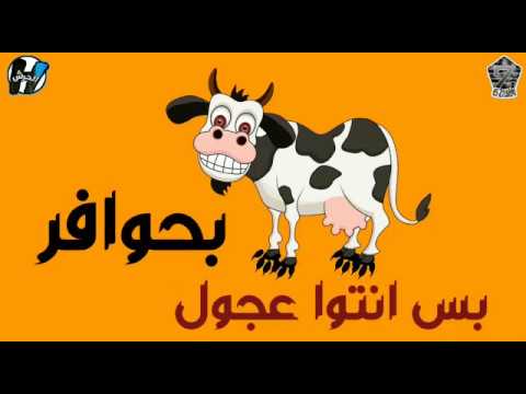 مهرجان حزب الجنيه نور التوت مهرجانات 2019