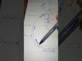 الدورة الدموية الصغرى والكبرى لتلاميذ السنوات الخامسة والسادسة اساسي