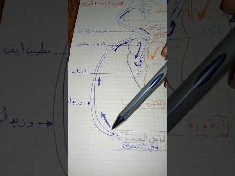 الدورة الدموية الصغرى والكبرى لتلاميذ السنوات الخامسة والسادسة اساسي