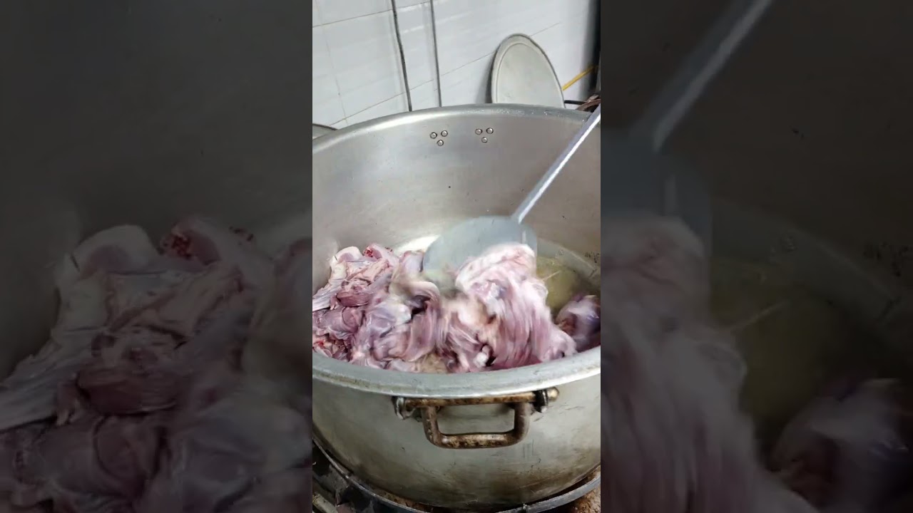 ٨ فبراير ٢٠٢٦