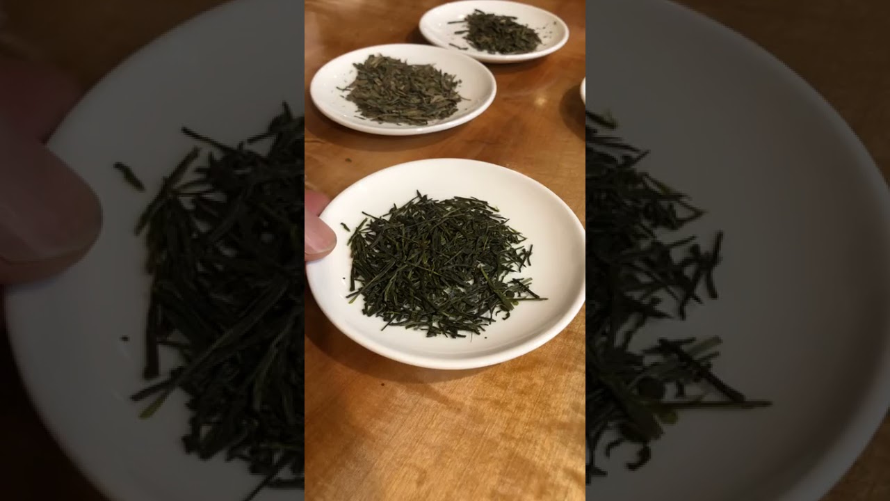 Q&A Session 6 - Loose Leaves vs Tea Bags