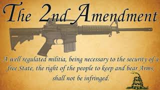 "Moms Demand Fascism" Red Flag laws