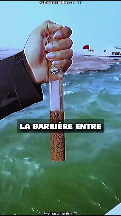 4 miracles du Coran qui ont choqué la science moderne