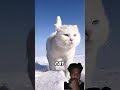 How do animals see our world? #facts #wildlife #viral #animals #trending #latest