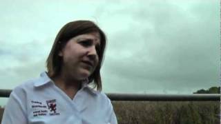 Angel the long lost boxer